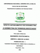 Portada local