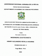 Portada local