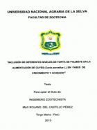 Portada local