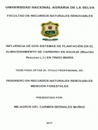 Portada local
