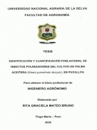 Portada local