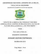 Portada local