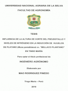 Portada local