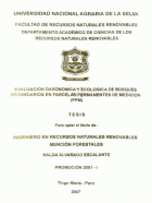 Portada local