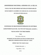 Portada local