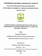 Portada local