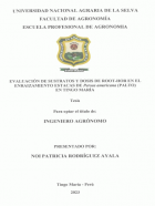Portada local