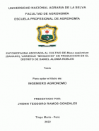 Portada local