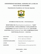 Portada local