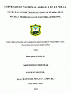 Portada local