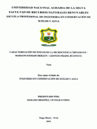 Portada local