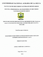 Portada local