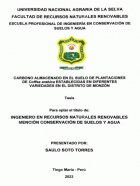 Portada local
