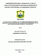 Portada local