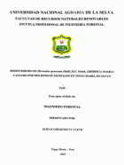 Portada local