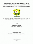 Portada local