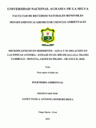 Portada local