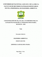 Portada local