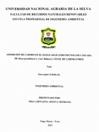 Portada local