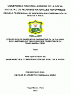 Portada local