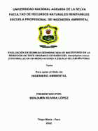 Portada local