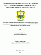Portada local