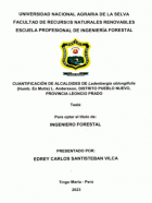 Portada local