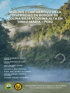 Portada local