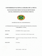 Portada local