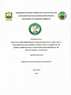 Portada local