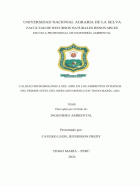 Portada local