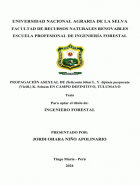 Portada local