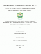 Portada local