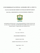 Portada local