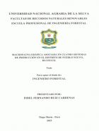 Portada local