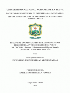 Portada local