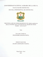 Portada local