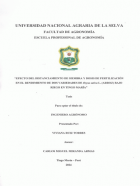 Portada local
