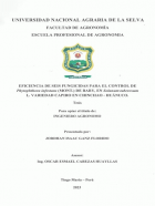 Portada local