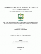Portada local