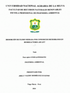 Portada local