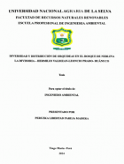 Portada local