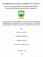 Portada local