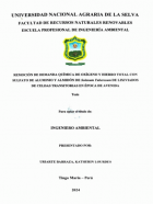 Portada local