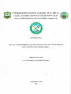 Portada local