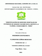 Portada local
