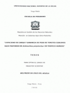 Portada local