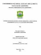 Portada local