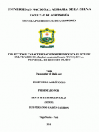 Portada local