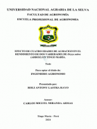 Portada local